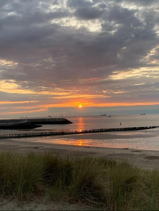 Kleines Haeuschen In Cadzand-Bad Exteriér fotografie