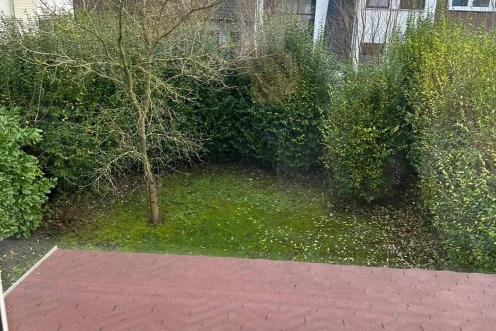 Kleines Haeuschen In Cadzand-Bad Exteriér fotografie