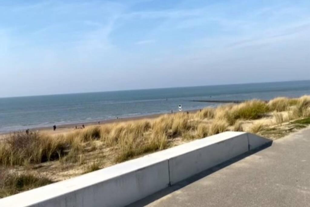 Kleines Haeuschen In Cadzand-Bad Exteriér fotografie